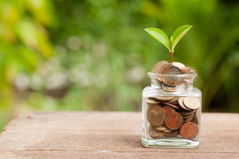 Plant Growing In Savings Coins